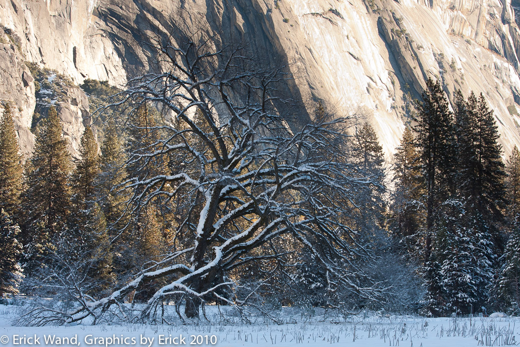 Yosemite10_8088